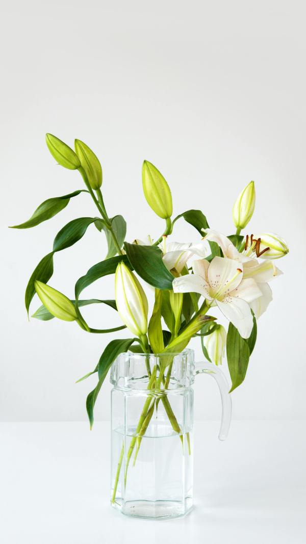 Een glazen vaas met witte bloemen en groene bladeren.