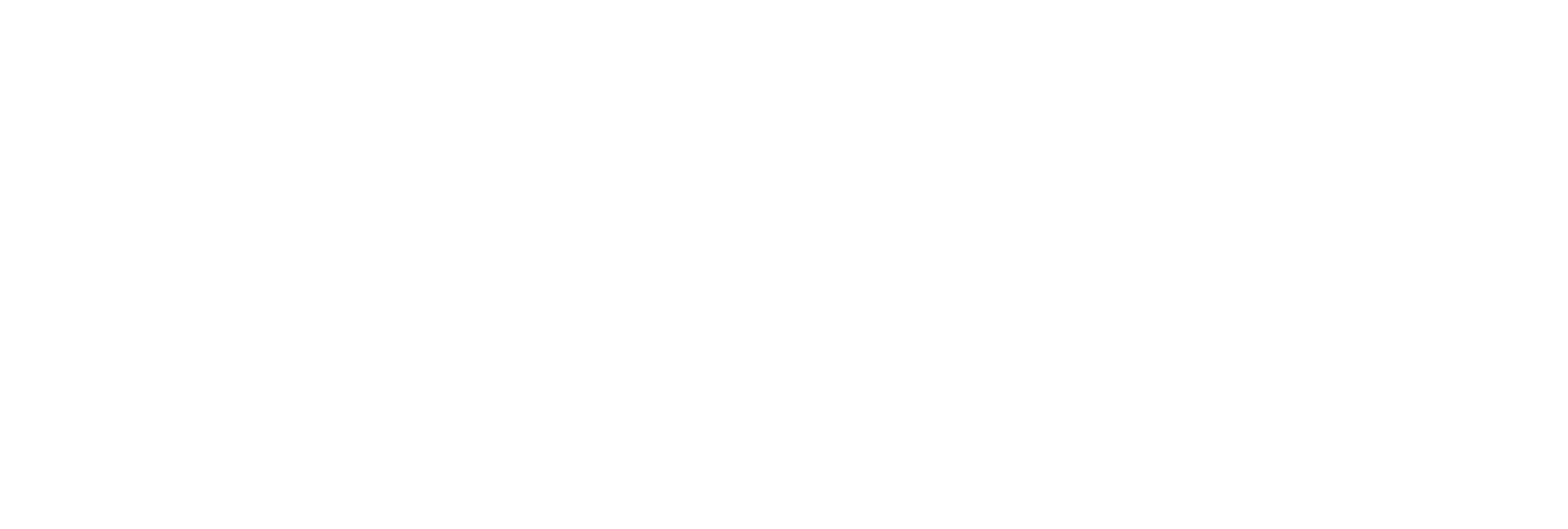 AniCura Dierenkliniek Sleeuwijk logo